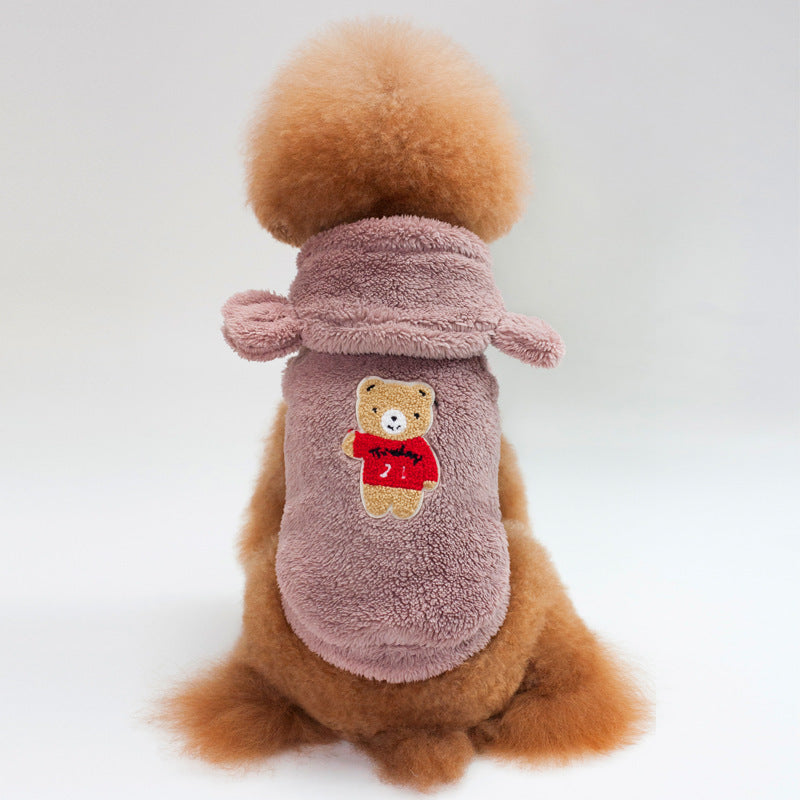 Teddy Bichon Small Dog Apparel