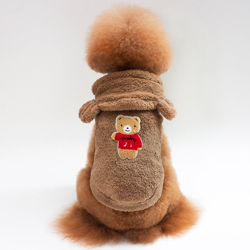 Teddy Bichon Small Dog Apparel