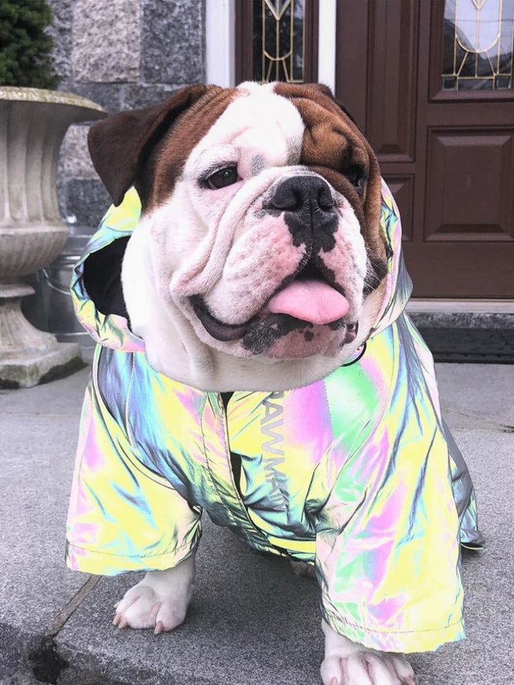 Reflective Microcrystalline Dog Apparel