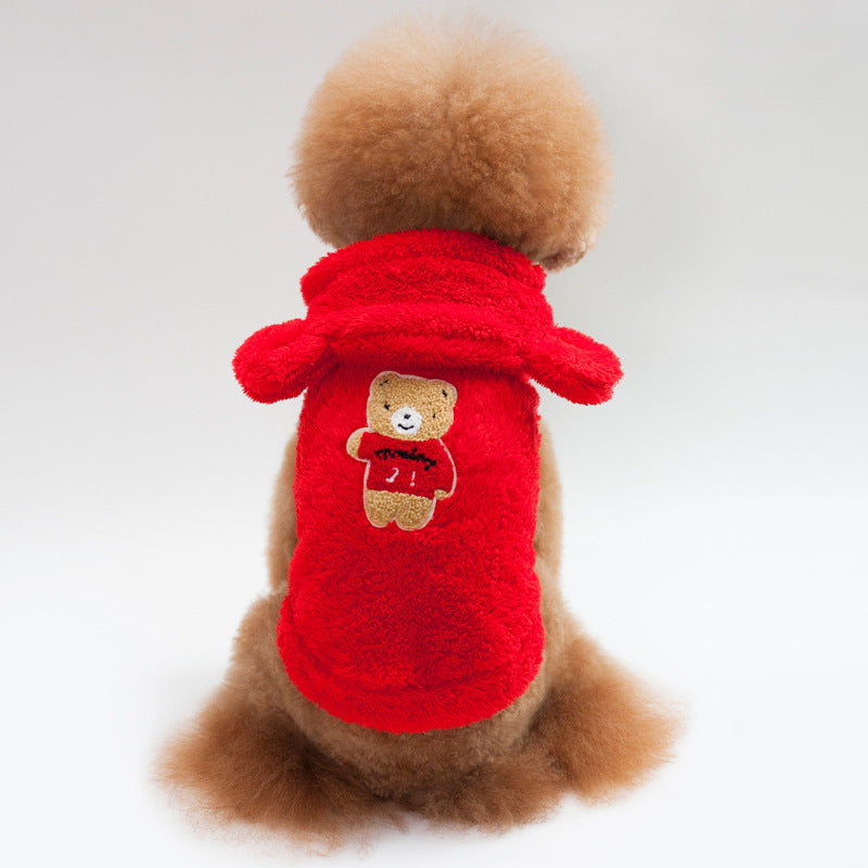 Teddy Bichon Small Dog Apparel